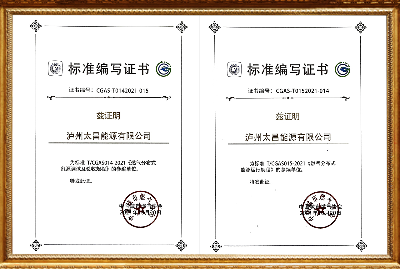 燃?xì)夥植际侥茉聪嚓P(guān)標(biāo)準(zhǔn)編寫證書